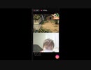 17 顔出し配信2
