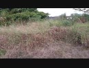 山の日だから山に来た 2019.08.11