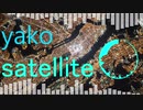 EDM作ってみた【satellite】
