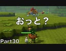 【DQB2】唯一のドラクエ知識が「ヤンガス」の男のDQB2から始めるドラクエ人生。Part30【実況】