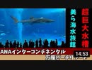 沖縄リゾート旅行記5　美ら海水族館と幸っちゃんそば(沖縄そば)