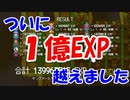 念願の１億EXPを達成しました！【レベル上げにちょうどいい島】#36