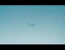 S・K・Y 歌ってみたver.Cook