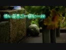 怖い話をご一緒に…99