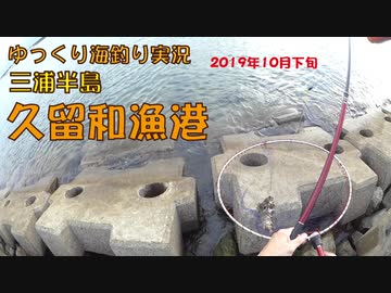 久留和漁港の釣り　2019年10月下旬