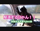 【旅猫あずき】駆逐するにゃん！！【kill mosquitoes all !!】
