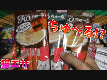 遊戯王オフの差し入れ開封も、気を抜くとやられるぞ！【差し入れ開封】