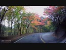 【紅葉】塩原ダムーもみじ谷大吊橋ー日塩有料道路(もみじライン)-2