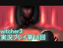 探し人を求めてwitcher3実況プレイ第16回