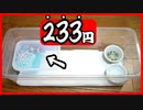 【自作！】レオパ(ヒョウモントカゲ)の赤ちゃんにケージを作ってみた！【簡単】