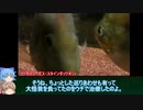 【３分水槽】part16「信用とリスク」【ゆっくり・CeVIO】