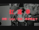 紅蓮華(full)をヴァイオリンで演奏してみた【あいすあるじー】