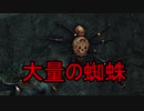 実況【ダークソウル２】貧弱主人公の冒険　パート21