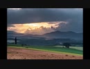 【美瑛】北海道で写真旅 前編【青い池】