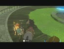 ＮＰＣのドナイト君が連れている馬を寝・・・乗っ取ってみた