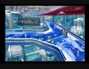 【FFVIII/女性実況】#66 エスタ②【FINAL FANTASY VIII/PS】