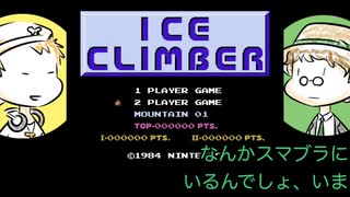 アイスクライマーで仲良く協力登山に挑戦！【単発レトロゲー実況】