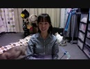 【猫の多頭飼い】ねこ姉さんふじ子のおしゃべり報告会 2019.11.09