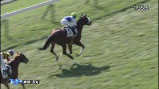 メイクデビュー東京_ダイワクンナナ