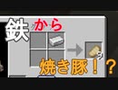 【minecraft】全てがランダムの世界でエンドラ討伐 #2