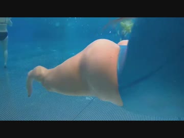 リゾートプールでスイミング