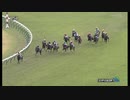 2019　エリザベス女王杯