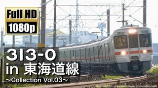 【JR東海】313系0番台 in 東海道線 ～Collection Vol.03～