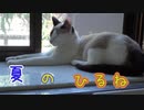 夏のひるね～～トゥリヤとマドゥの爆睡特集