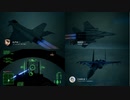 Ace Combat 7 Multiplayer446 バトルロイヤル F-15C + PLSL