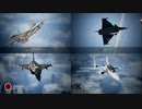 Ace Combat 7 Multiplayer448 バトルロイヤル Su-30SM + 6AAM