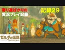 【寄り道ばかりの】ゼルダの伝説BotW【実況プレイ記録29】デカいやつと記憶とTUEEEEやつ