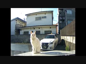 日本の車載映像集62-2/3