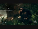 【猿S2#5】人類通り越してもはや猿【Ancestors The Humankind Odyssey】