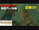 【寄り道ばかりの】ゼルダの伝説BotW【実況プレイ記録30】勘違いの終結