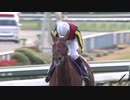 2019年 第44回エリザベス女王杯（GⅠ） ラッキーライラック（本馬場～レース）