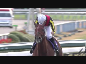 2019年 第44回エリザベス女王杯（GⅠ） ラッキーライラック（本馬場～レース）