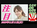 8今日は残念ながらお休みです。桜井誠を応援！菜々子の独り言　2019年11月11日(月）