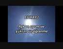 EVHAcocoro93Türk
