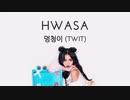 HWASA. TWIT   1 HOUR LOOP