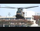 [立川防災航空祭]陸上自衛隊CH-47地上滑走乗ってきました!!