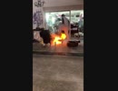 ホモと見るタイヤ爆発