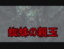 実況【ダークソウル２】貧弱主人公の冒険　パート22