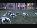4足ロボット「Mini Cheetah」が面白い