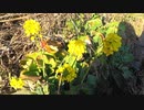 平成最後の狩猟生活(その104)