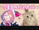 誕生日に貰ったプレゼントでぽぽが遊ぶシーン【笹木咲生誕祭2019】