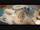 ハムスター飼いました。その82～きなこちゃんとお誕生日～