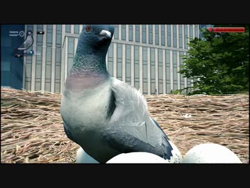 【Pigeon Simulator】殿下鳩
