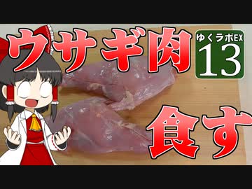 【MineCraft】ゆくラボＥＸ　バニラでリケジョが自給自足生活 DAY13【ゆっくり実況】