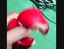 りんご潰し　握力　筋トレ　握力７０kg 　ジェントローズボボズ大友　セントラルパーク吉田　ゴルフ、アコースティックギターにはやっぱり何と言ってもパワーが必要なんじゃないのか、どうなんだいという思いです