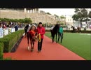 【現地映像】当てたら神！3連単が500万超えたレースパドック　馬だけ見て当てれる？パドッククイズ難易度SSS